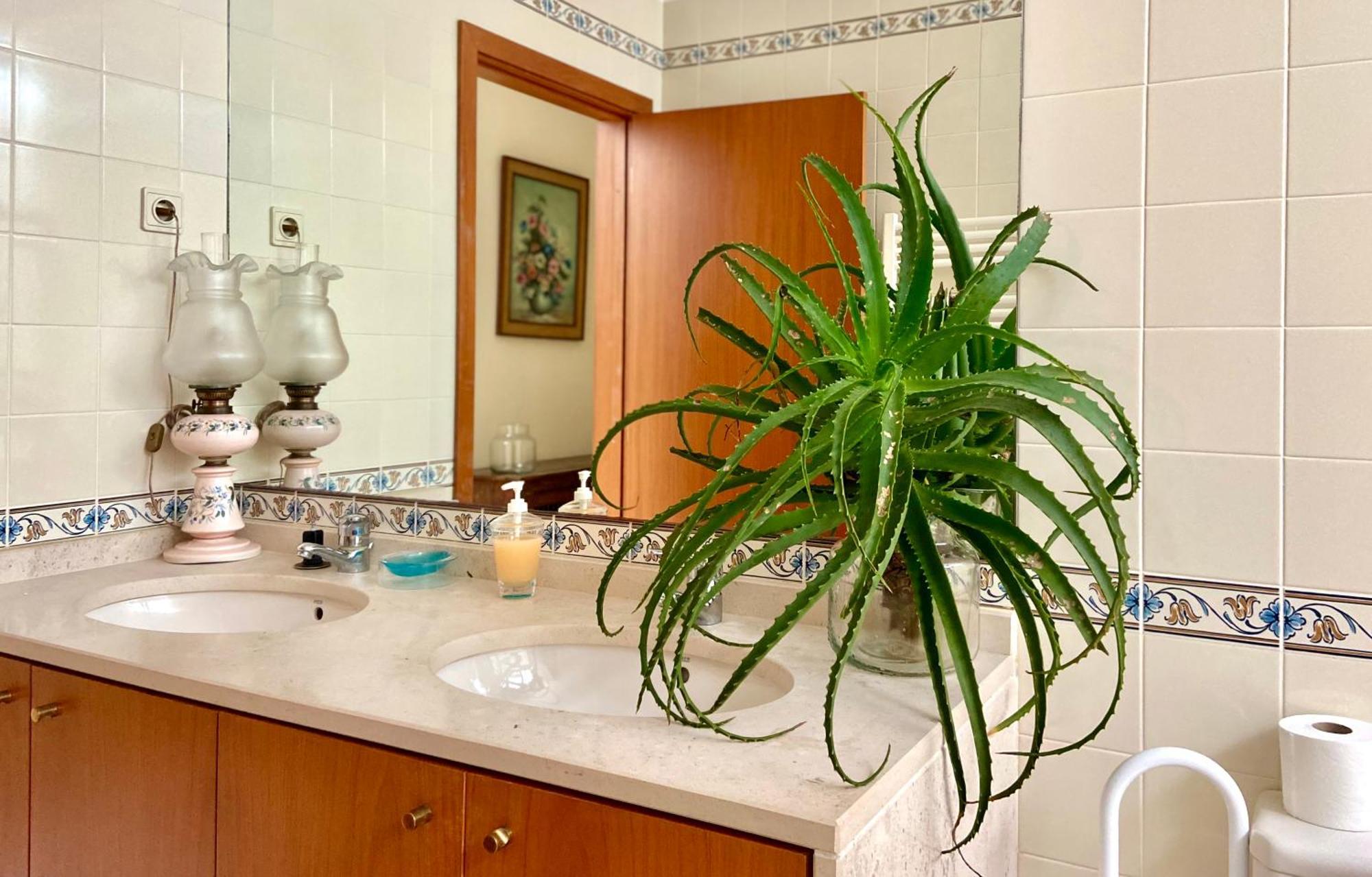 Vistas Do Minho Villa Caminha Ngoại thất bức ảnh
